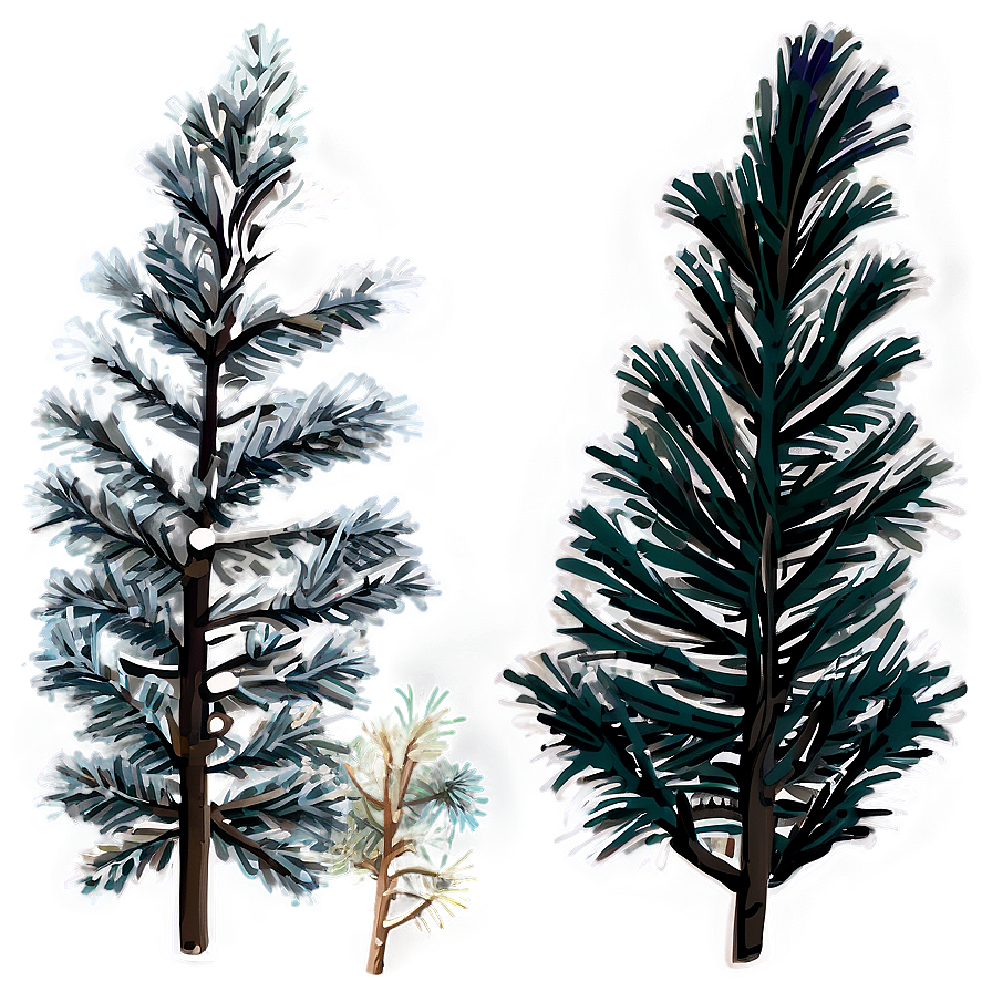 Frosty Pine Trees Png Jln Image