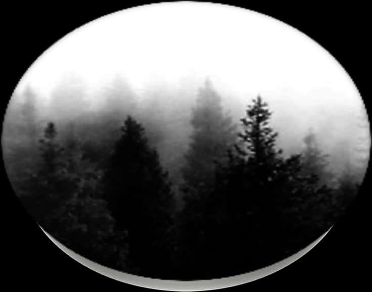 Misty Forest Circle Blackand White PNG Image