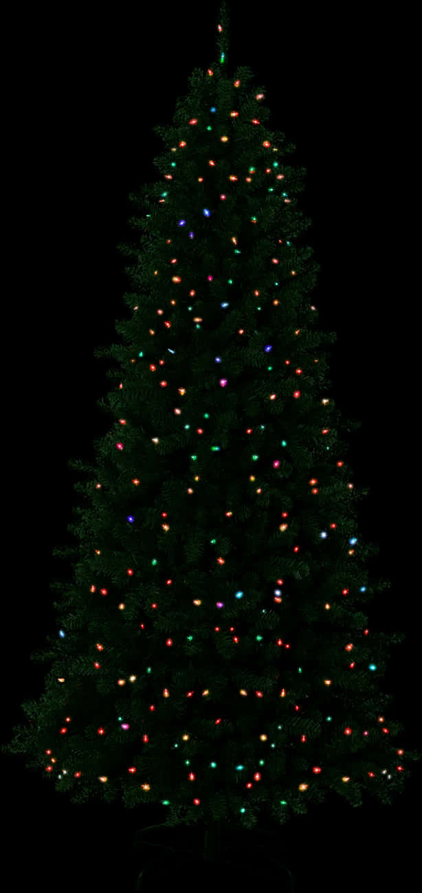 Twinkling Christmas Tree Lights PNG Image