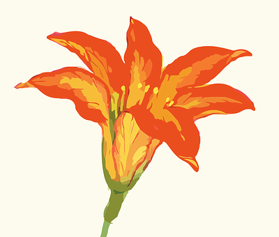 Vibrant Orange Flower Illustration PNG Image