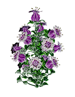 Vibrant Purple Flowers Artwork PNG Image